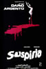 Suspiria Movie Poster