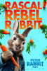 Peter Rabbit Movie Poster