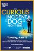 National Theatre Live: The Curious Incident of the Dog in the Night-Time Movie Poster