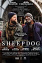 Sheepdog Movie Poster