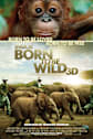 Born To Be Wild IMAX 3D Movie Poster