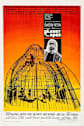 Planet of the Apes (1968) Movie Poster