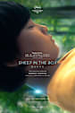 Sheep In The Box Movie Poster