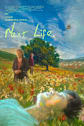Next Life Movie Poster