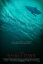 The Shallows Movie Poster