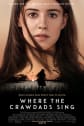 Where the Crawdads Sing Movie Poster