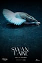IMAX Presents: SWAN LAKE Movie Poster