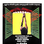 The House With Laughing Windows (La Casa dalle finestre che ridono) Poster 0