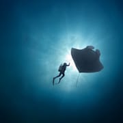 The Last Dive Poster 0