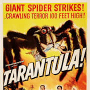 Tarantula Poster 0
