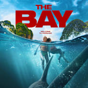 The Bay Poster 0