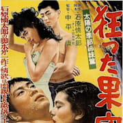 Crazed Fruit (Kurutta Kajitsu) (1956) Poster 0