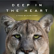 Deep in the Heart: A Texas Wildlife Story Poster 0