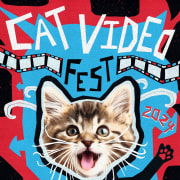 CatVideoFest 2024 Poster 0