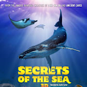 Secrets of the Sea Poster 0