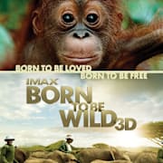 Born To Be Wild IMAX 3D Poster 0