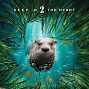 Deep in the Heart II: Texas Rivers Poster 0