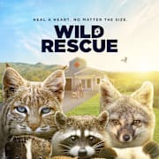 Wild Rescue Poster 0