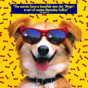 Bingo (1991) Poster 0