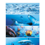 Oceans Poster 0