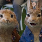 Peter Rabbit 2: The Runaway Poster 3