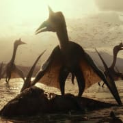 Jurassic World: Dominion Poster 9