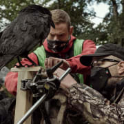 The Northman Poster 7