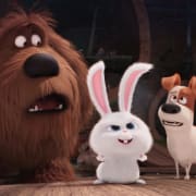 The Secret Life of Pets Poster 3