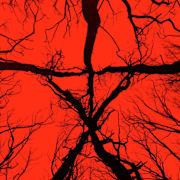 Blair Witch Poster 0