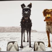 Isle of Dogs Poster 1