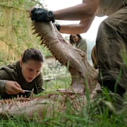Annihilation Poster 2