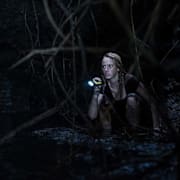 Crawl Poster 3