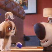 The Secret Life of Pets 2 Poster 3