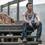 Chaos Walking | Showtimes, Tickets & Reviews - Atom Tickets