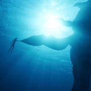 Avatar: The Way of Water Poster 4