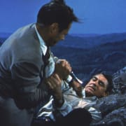 North by Northwest 65th Anniversary Poster 3