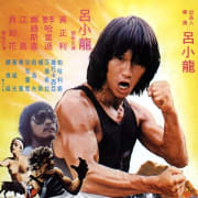 Challenge of the Tiger Poster 0