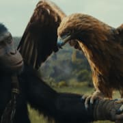 Kingdom of the Planet of the Apes Early Access Screening Poster 5