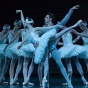 IMAX Presents: SWAN LAKE Poster 1