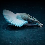 IMAX Presents: SWAN LAKE Poster 0