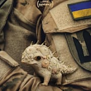 Porcelain War Poster 0