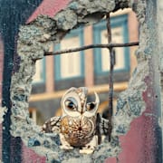 Porcelain War Poster 1