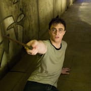 Harry Potter and the Order of the Phoenix Poster 2