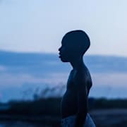 A24 X IMAX Present: Moonlight Poster 1