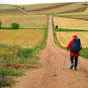 The Way, My Way Poster 1