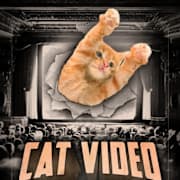CatVideoFest 2025 Poster 0