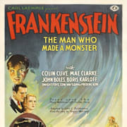Frankenstein (1931) Poster 0