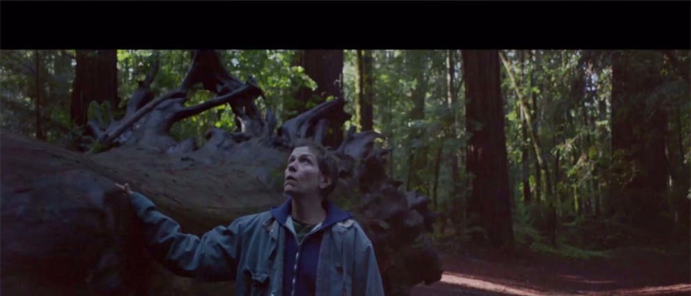 Nomadland | Showtimes, Tickets & Reviews - Atom Tickets
