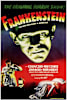 Frankenstein (1931) Movie Poster