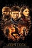 Robin Hood Movie Poster